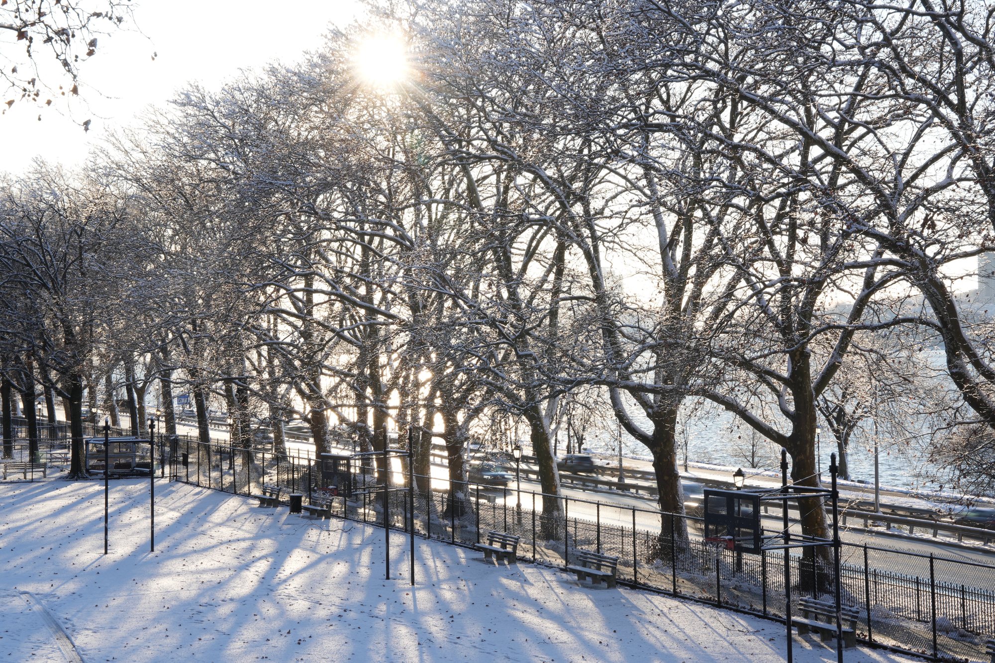 Sunlight through snow-covered trees beside a river